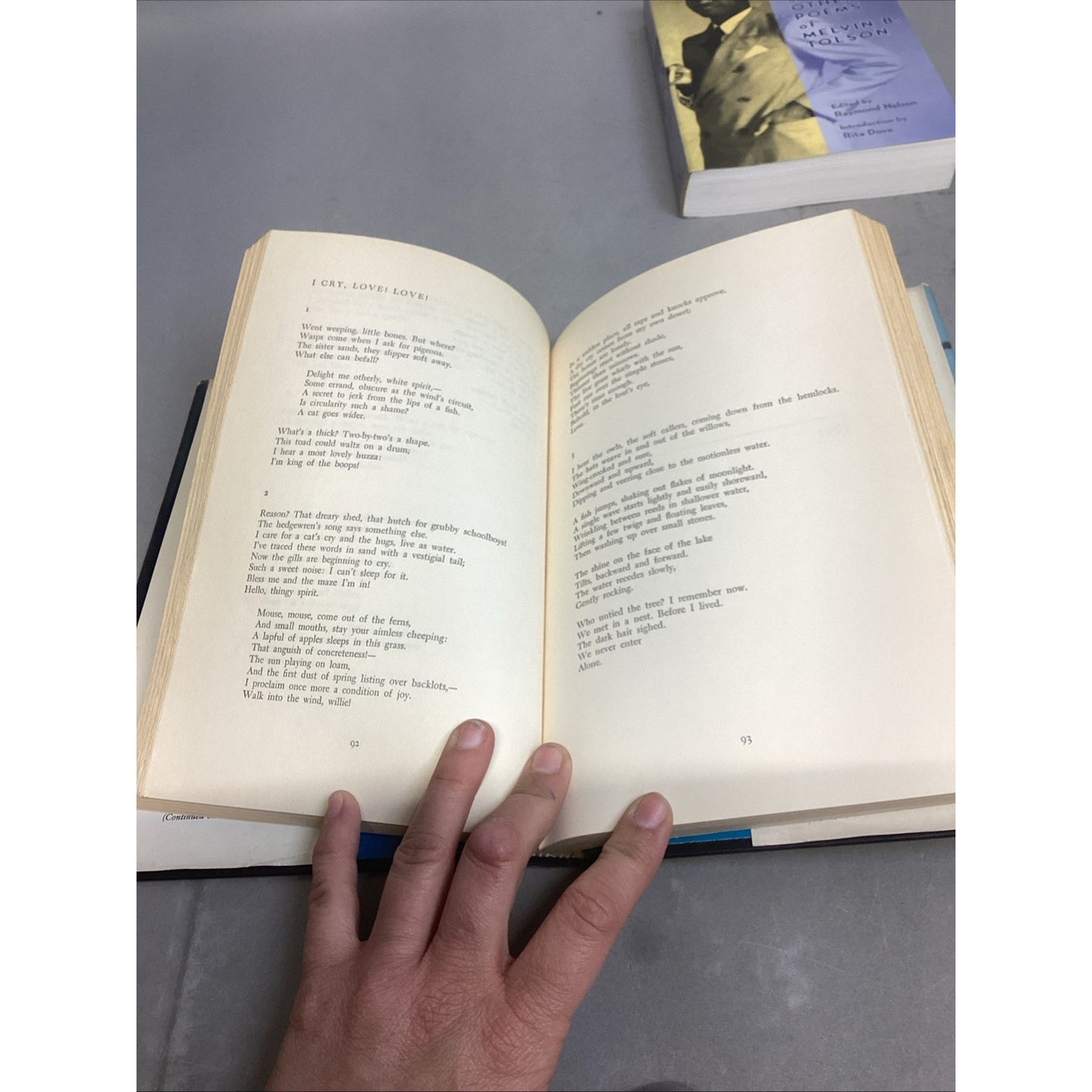 Roethke Collected Poems, Emily Dickinson Poems, Poems By Robert Boy + More