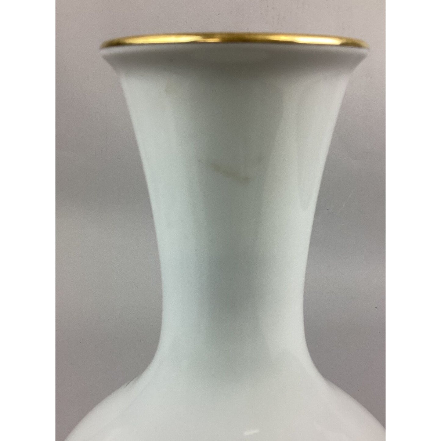 Heinrich And Co Bavaria Germany Vase With Flying Birds - 13 3/4”