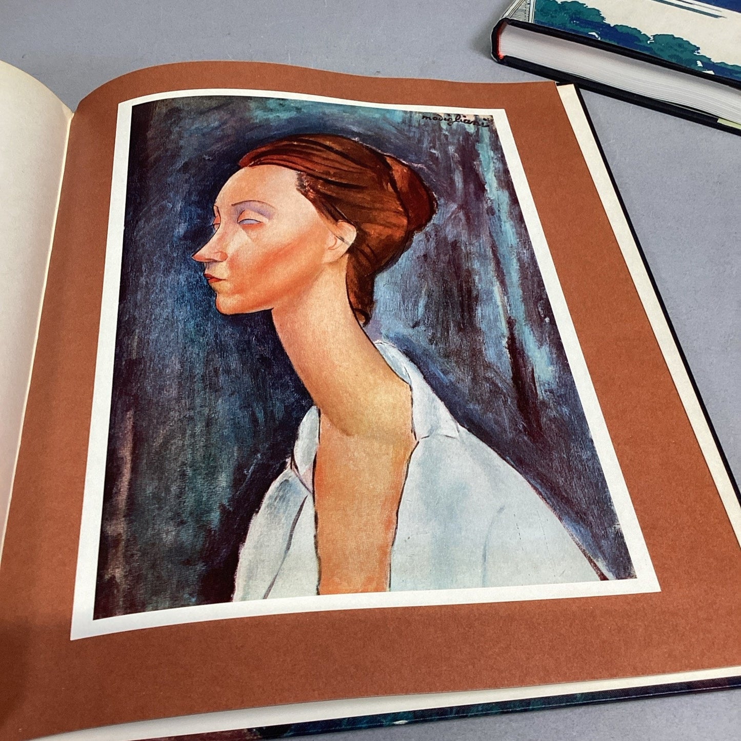 Klimt, Modigliani Abrams, Hokusai & Hiroshige Photography Books