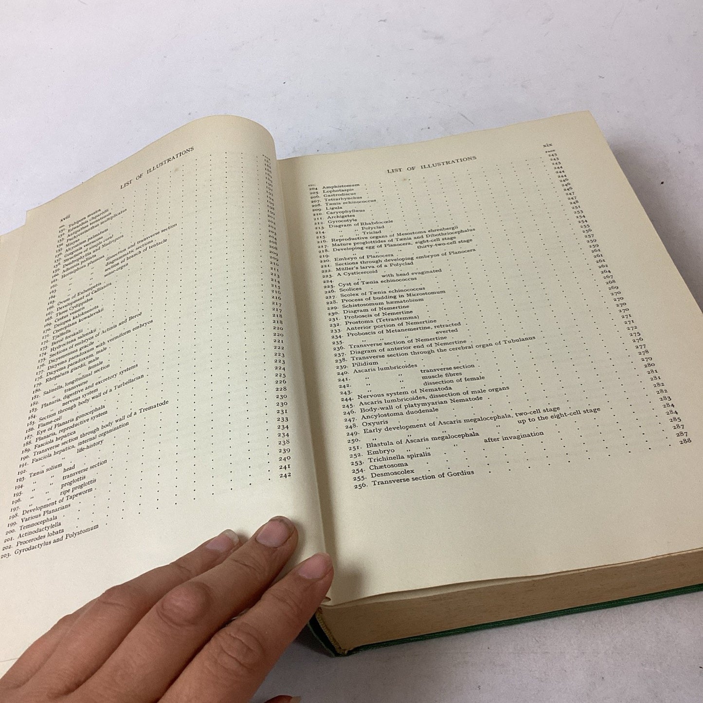 Textbook Of Zoology Volume 1 - 6th Edition - 1961 - Hardcover