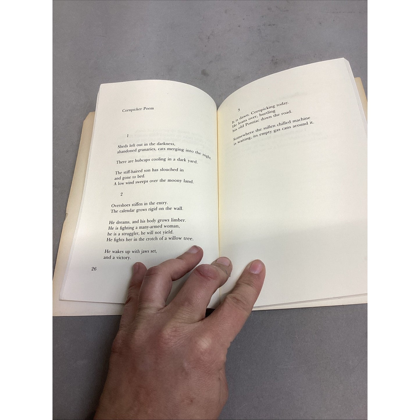 Roethke Collected Poems, Emily Dickinson Poems, Poems By Robert Boy + More