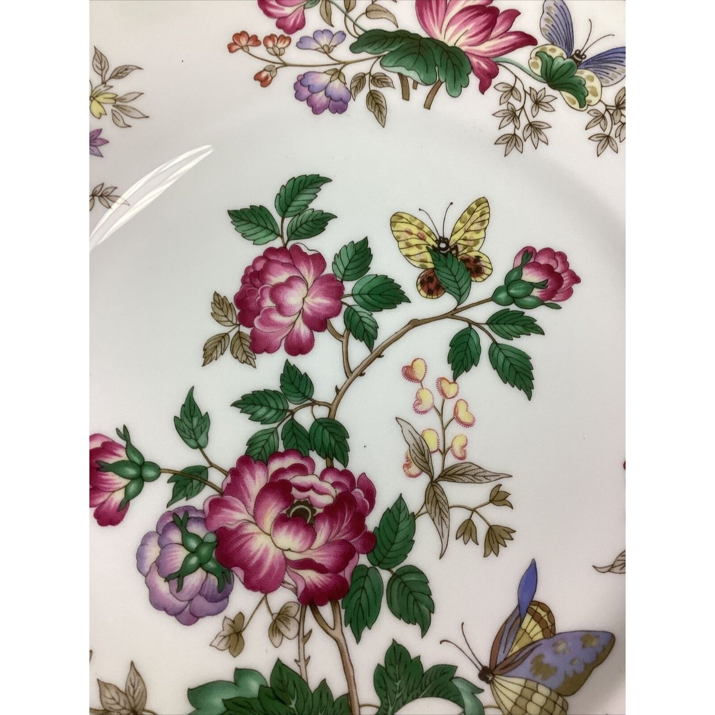 Wedgwood Charnwood Bone China Dinner Plate 10 3/4” - Made In England