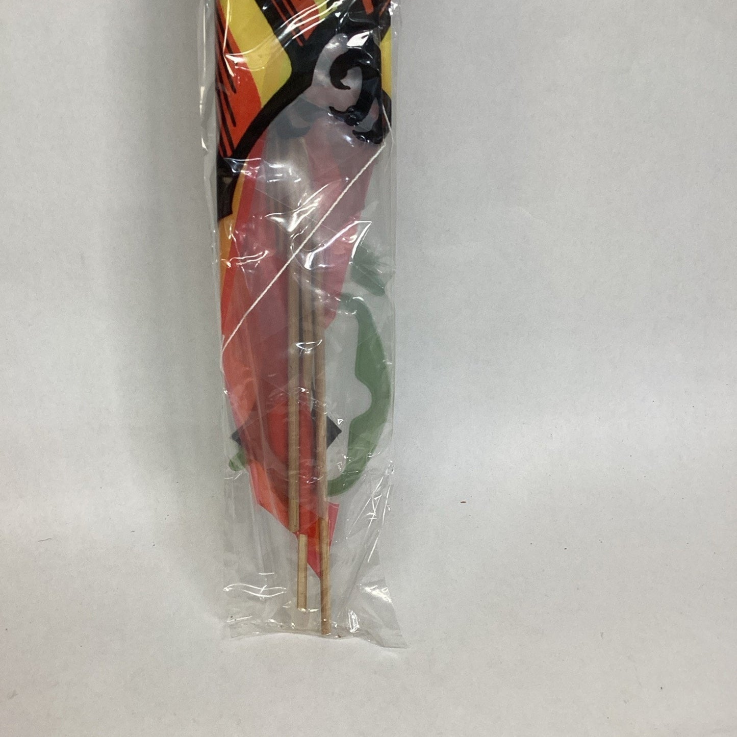 Dual Control Kite With 4 Foot Tail - #203