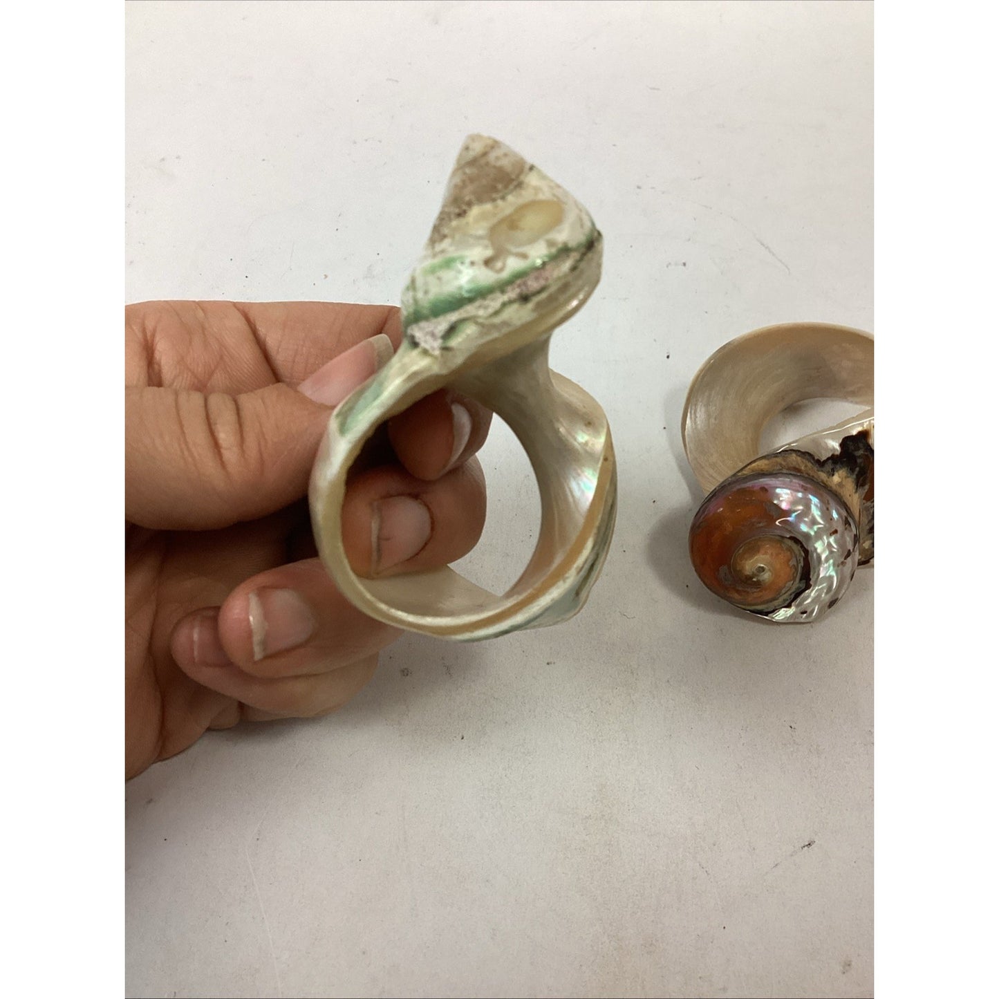 3 Vintage Carved Seashell Conch Mother Of Pearl Napkin Ring Holders MCM
