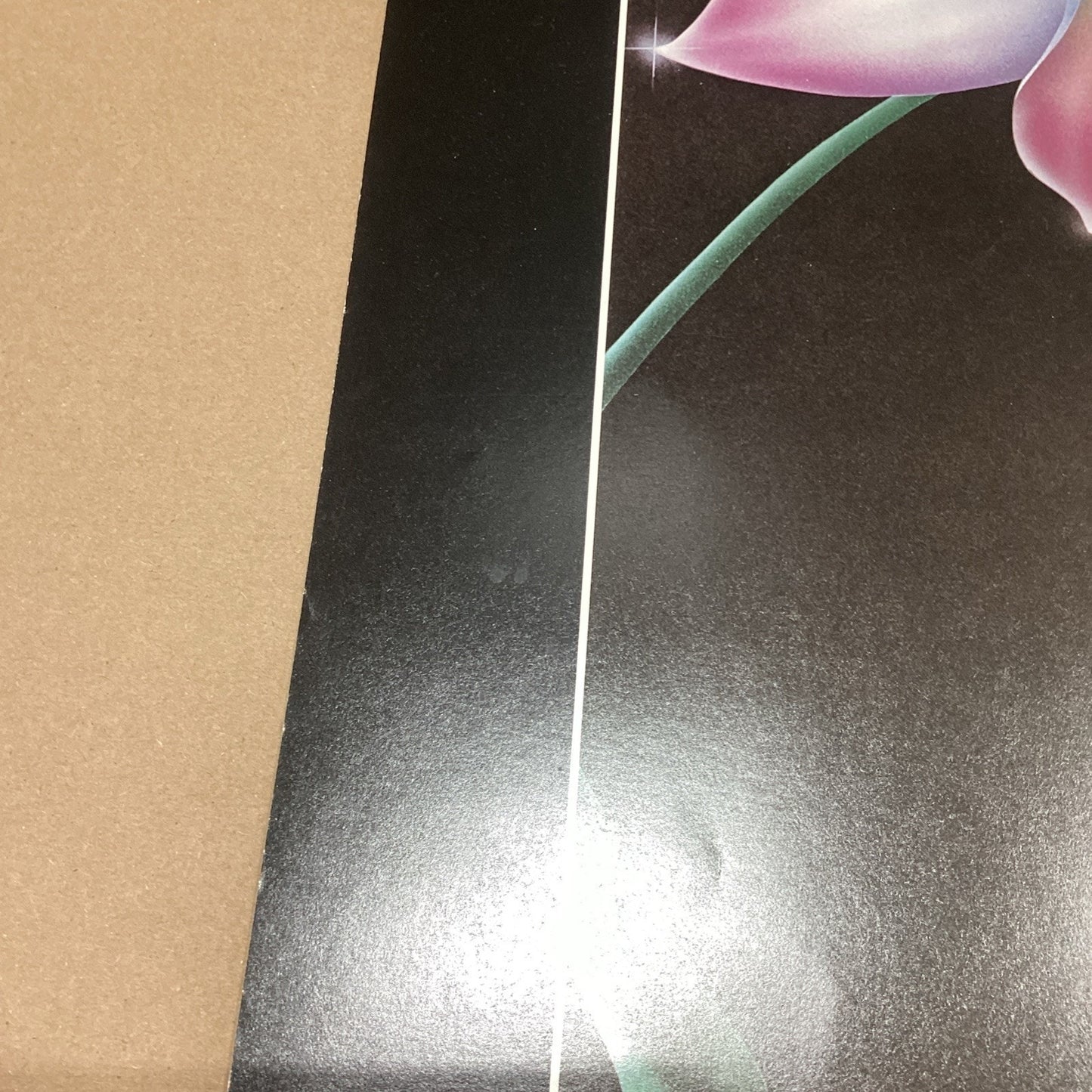 Pema Art Of The 80’s New York Exhibition White Pink Floral Poster - 36x24”