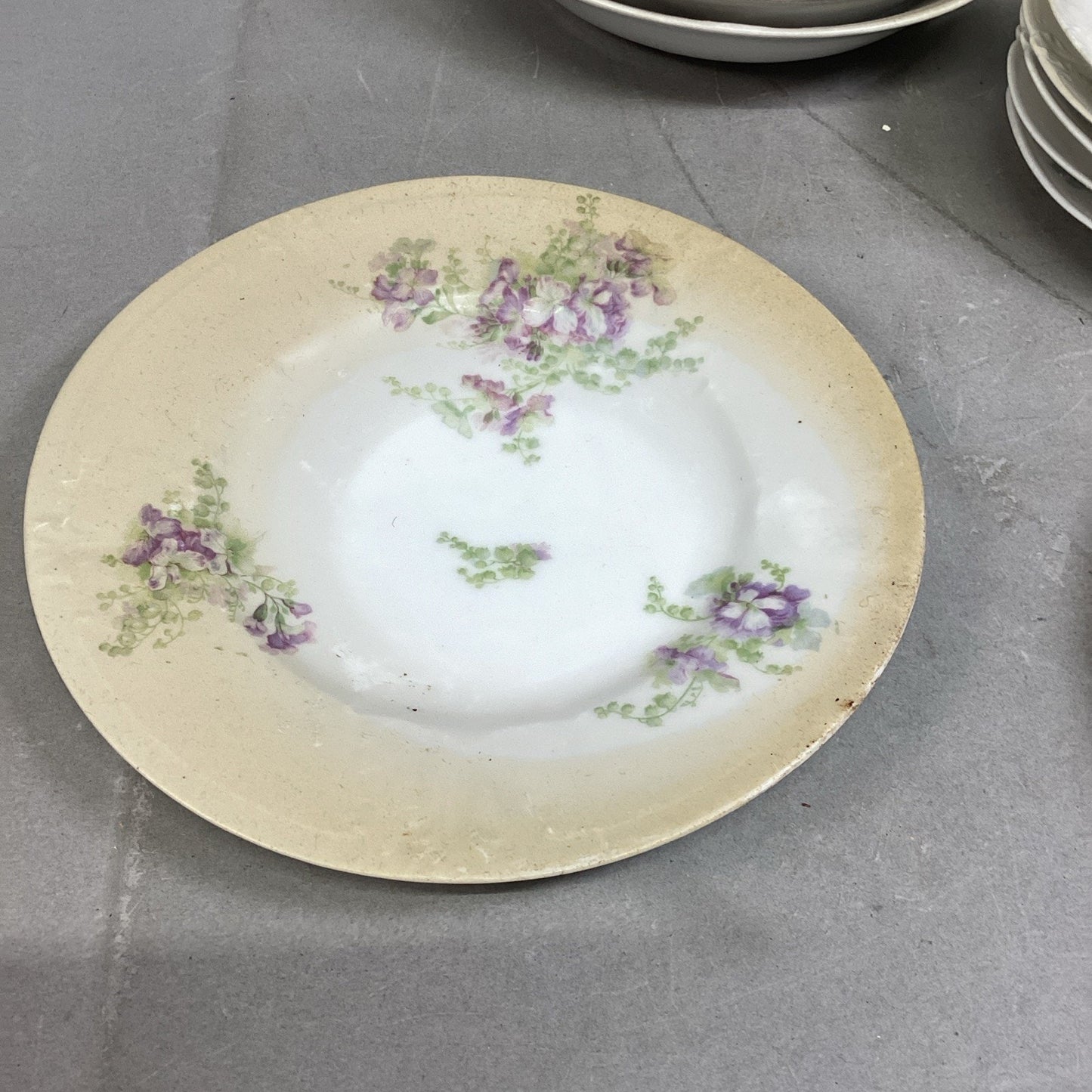 Set Of 26 - LS & S Limoges France Floral Plate/Bowl Set
