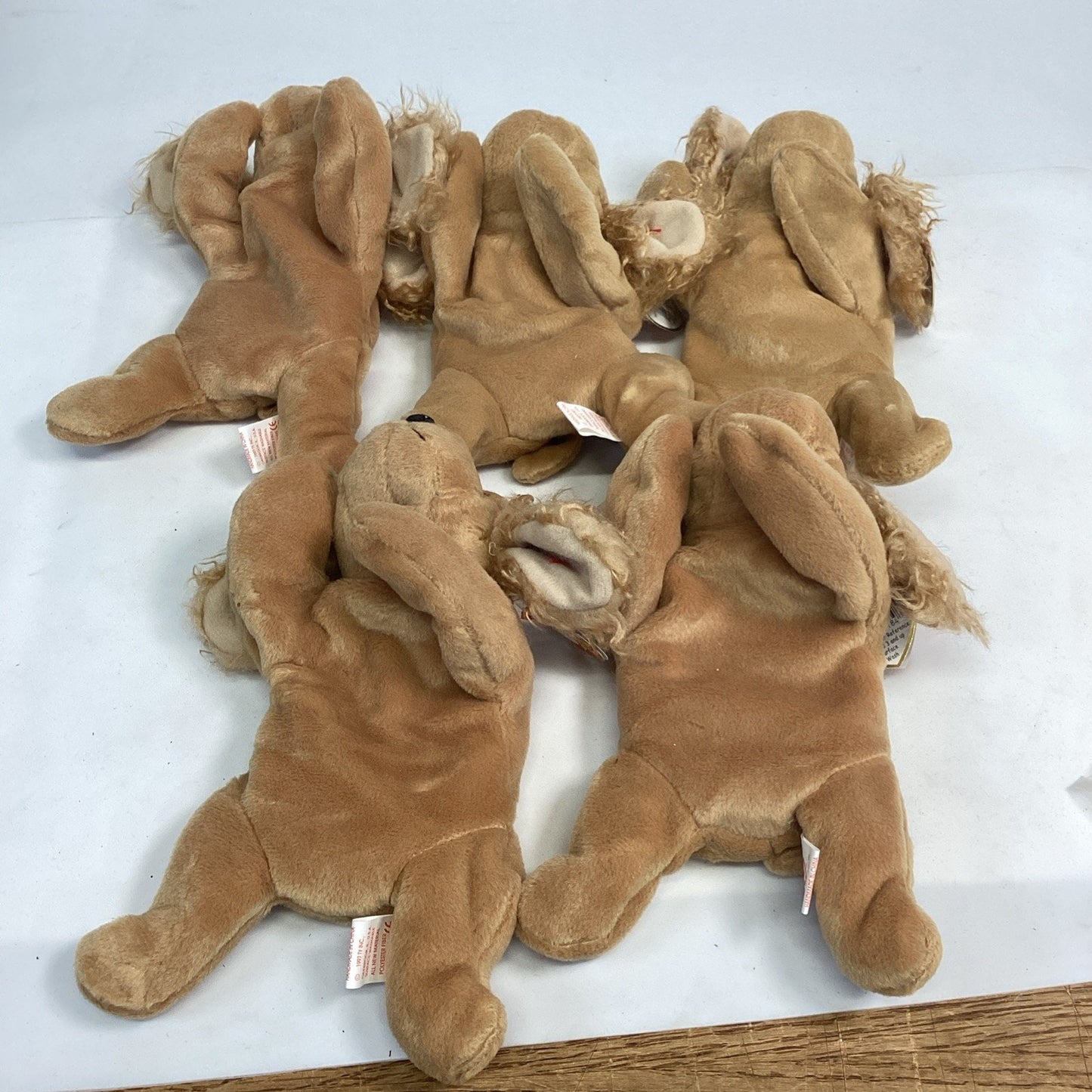 Lot Of 5 Ty Beanie Baby Spunky The Cocker Spaniel From 1997 Retired With Tags