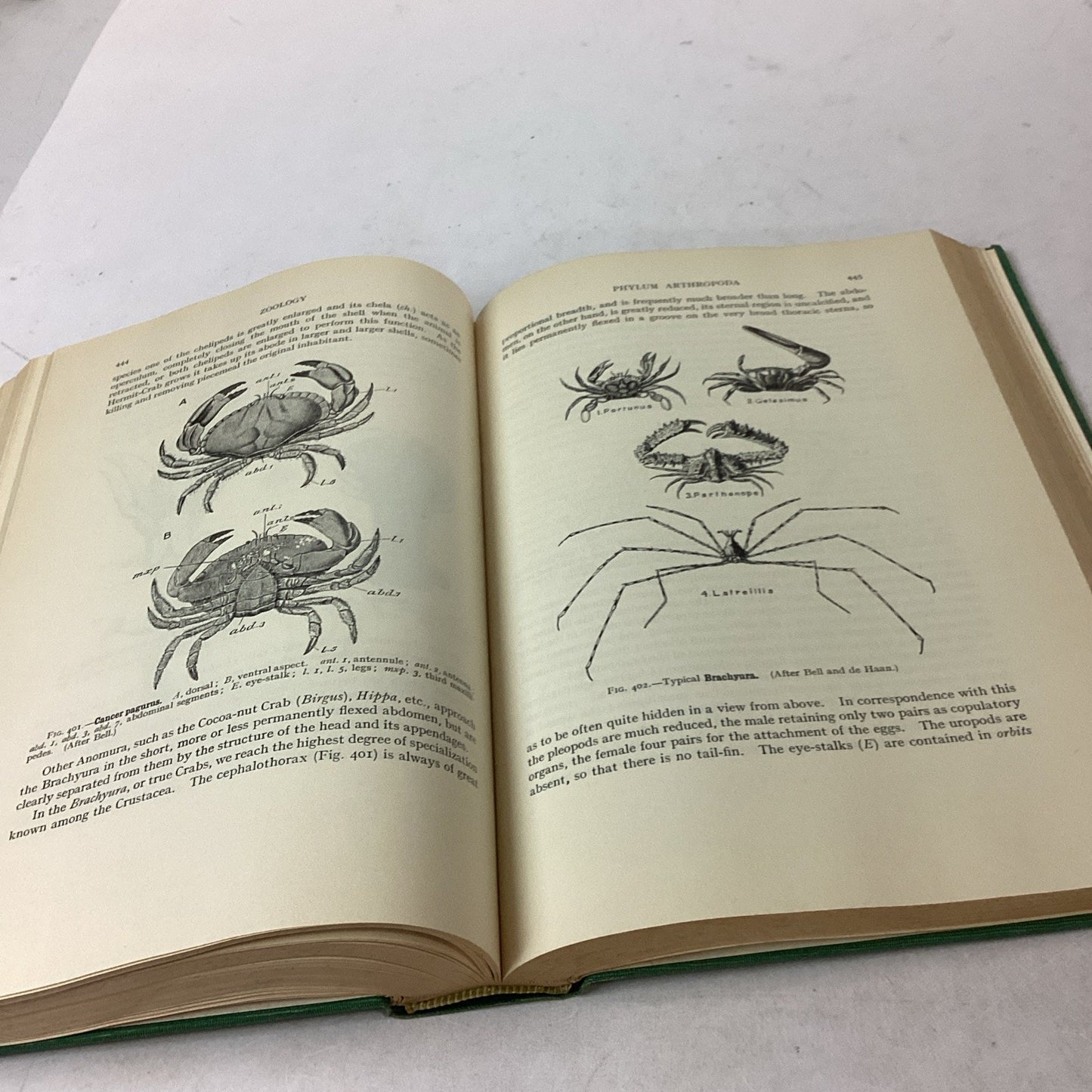 Textbook Of Zoology Volume 1 - 6th Edition - 1961 - Hardcover