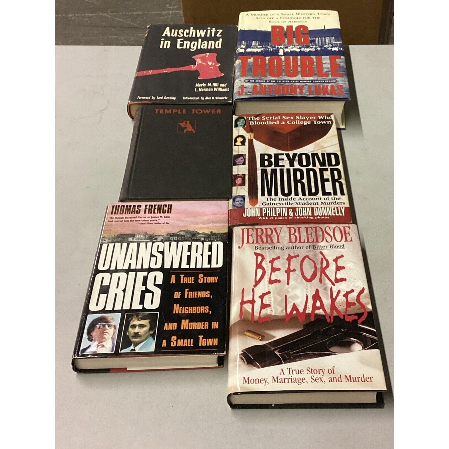 5 Mystery And True Crime Books + Auschwitz In England