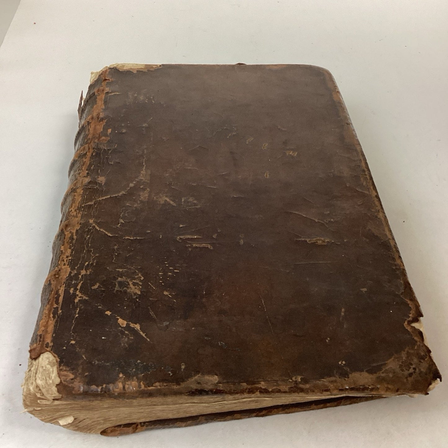 Antique 1660? Dutch Book - J. Jonston’s - Description Of The 4 Footed Animals