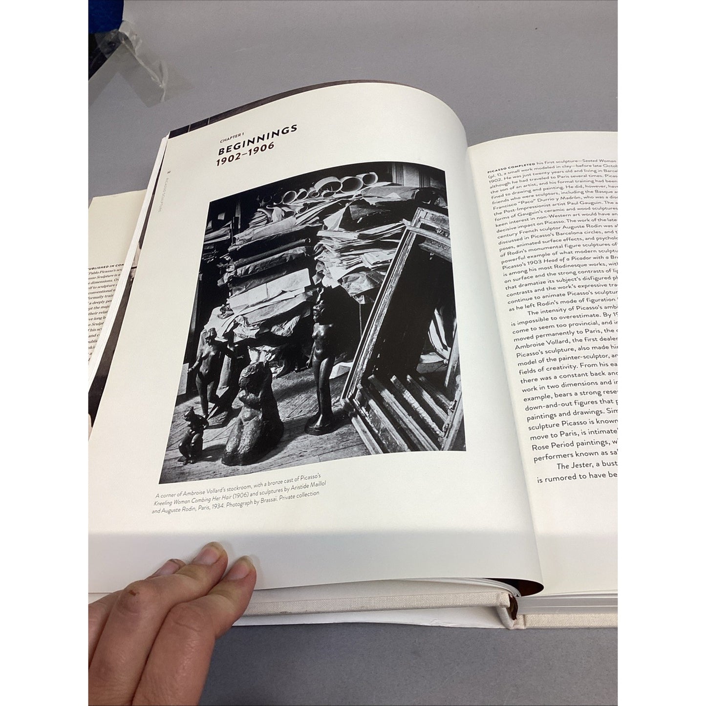 Picasso Sculpture Hardback Book MoMA, NEW, Temkin-Umland