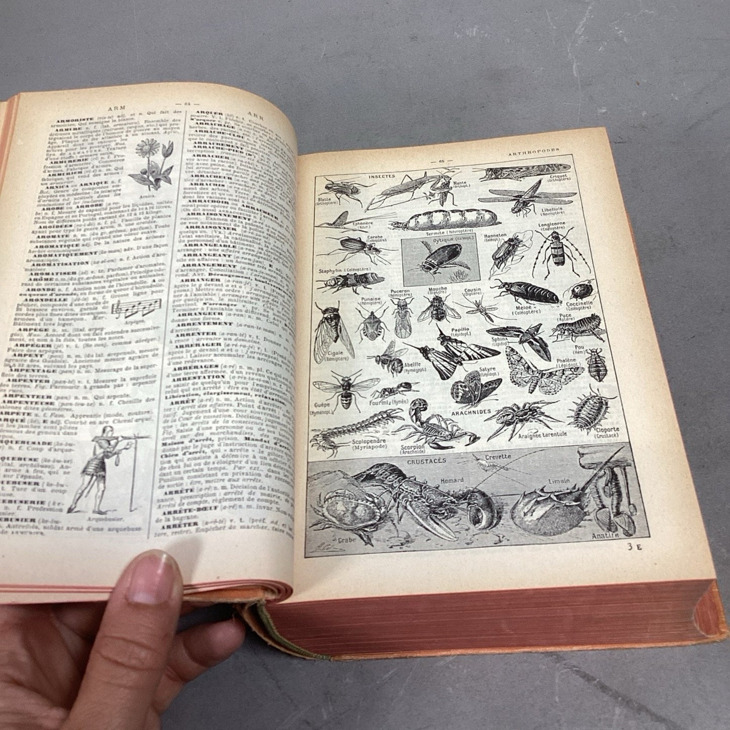 Nouveau Petit Larousse Illustre 1940 Edition - Paris