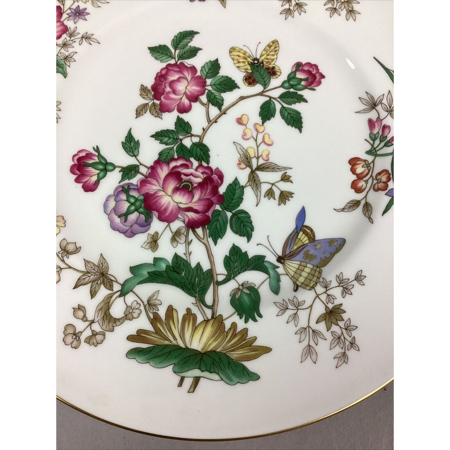 Wedgwood Charnwood Bone China Dinner Plate 10 3/4” - Made In England