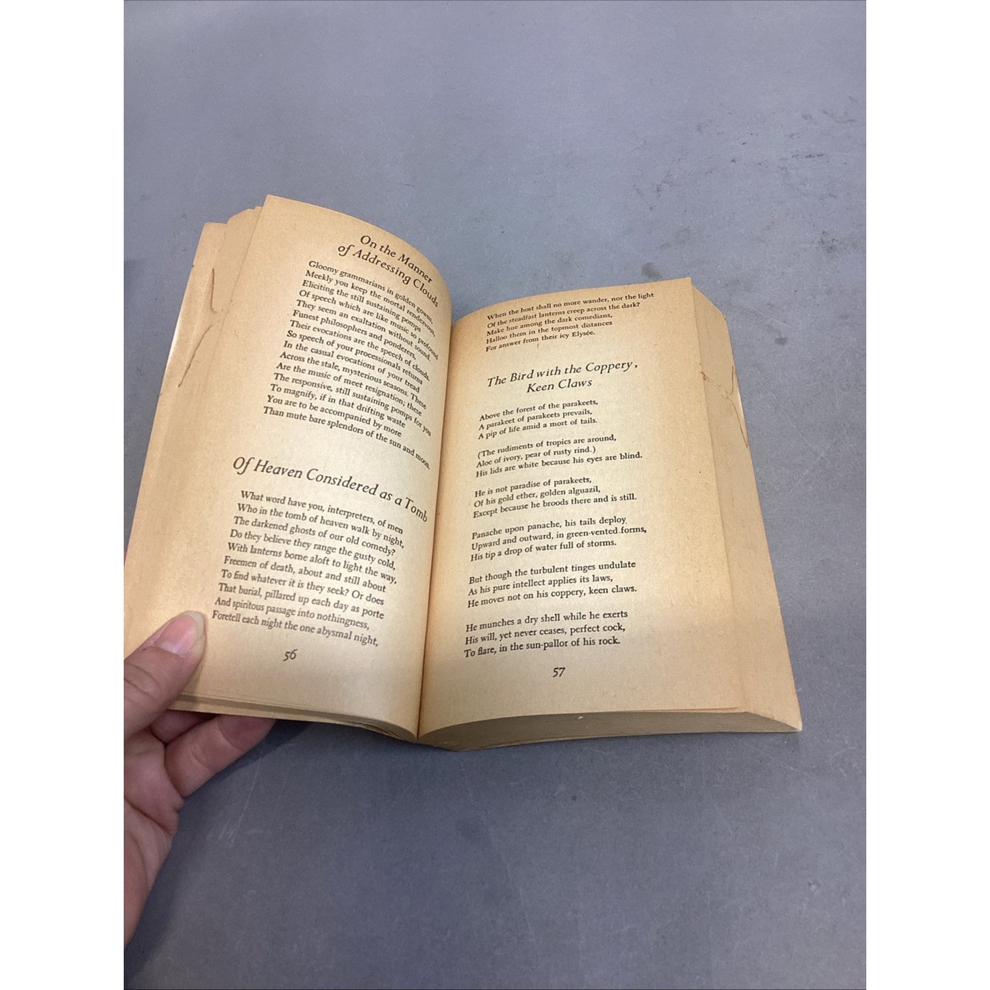 Roethke Collected Poems, Emily Dickinson Poems, Poems By Robert Boy + More