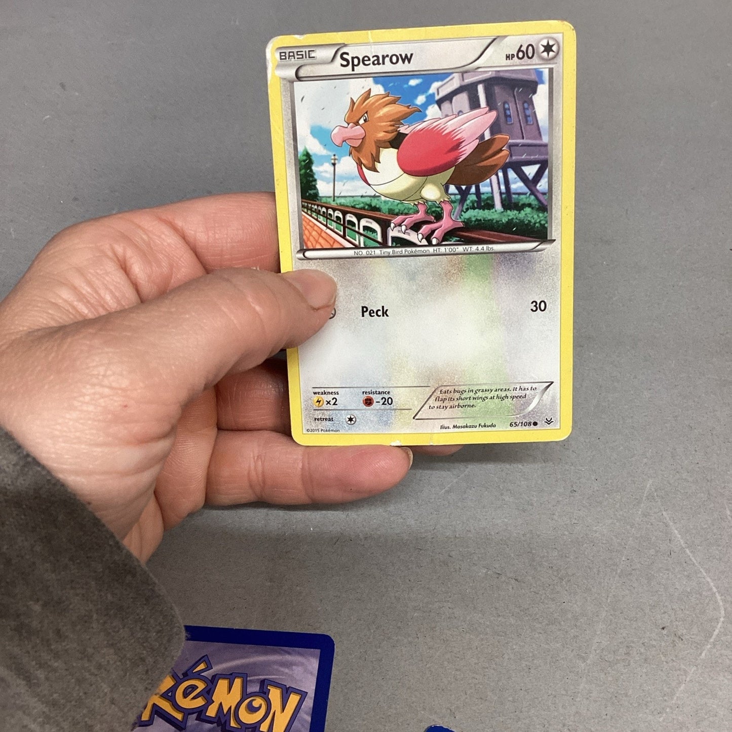 Lot Of 10 Pokémon Colorless Trading Cards - Jigglypuff, Spearow, Meowth, Pidgey,