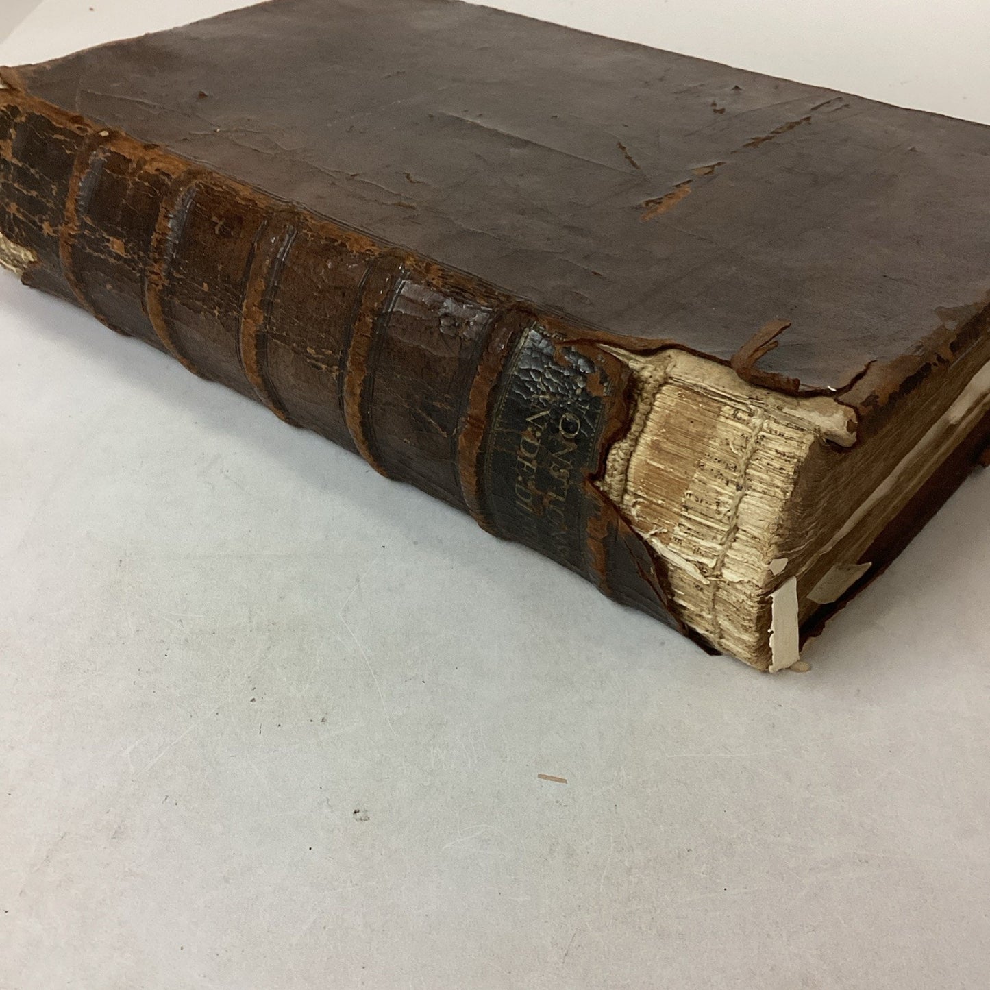 Antique 1660? Dutch Book - J. Jonston’s - Description Of The 4 Footed Animals