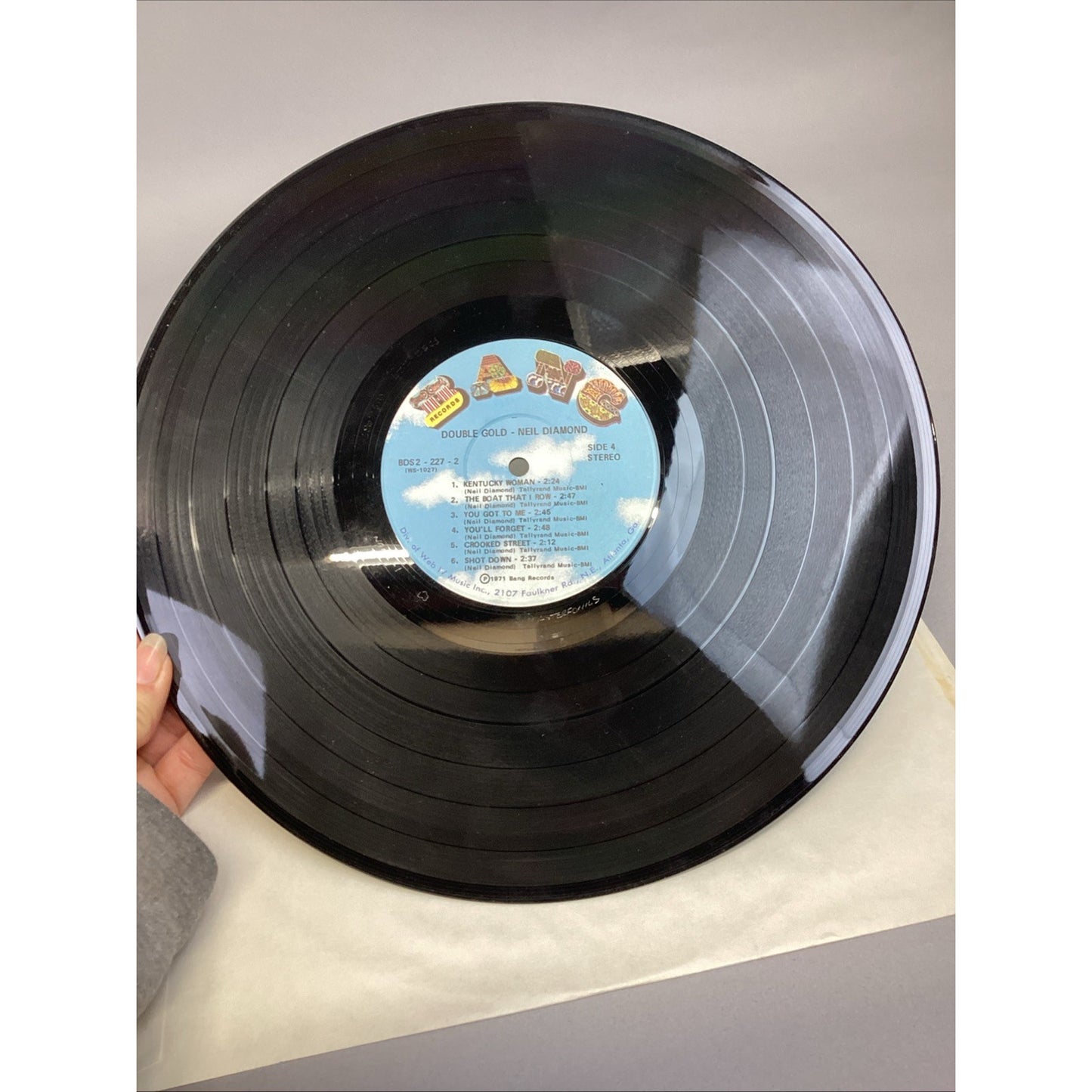 Neil Diamond 12 Greatest Hits & Neil Diamond Double Gold Vinyl Records
