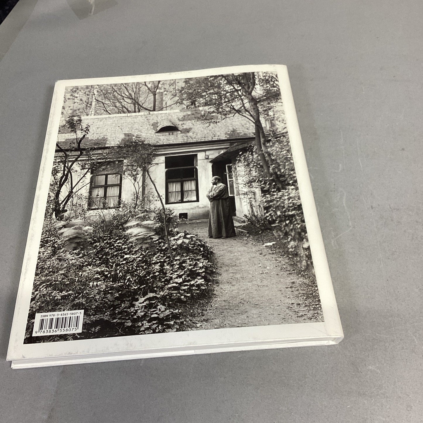 Klimt, Modigliani Abrams, Hokusai & Hiroshige Photography Books