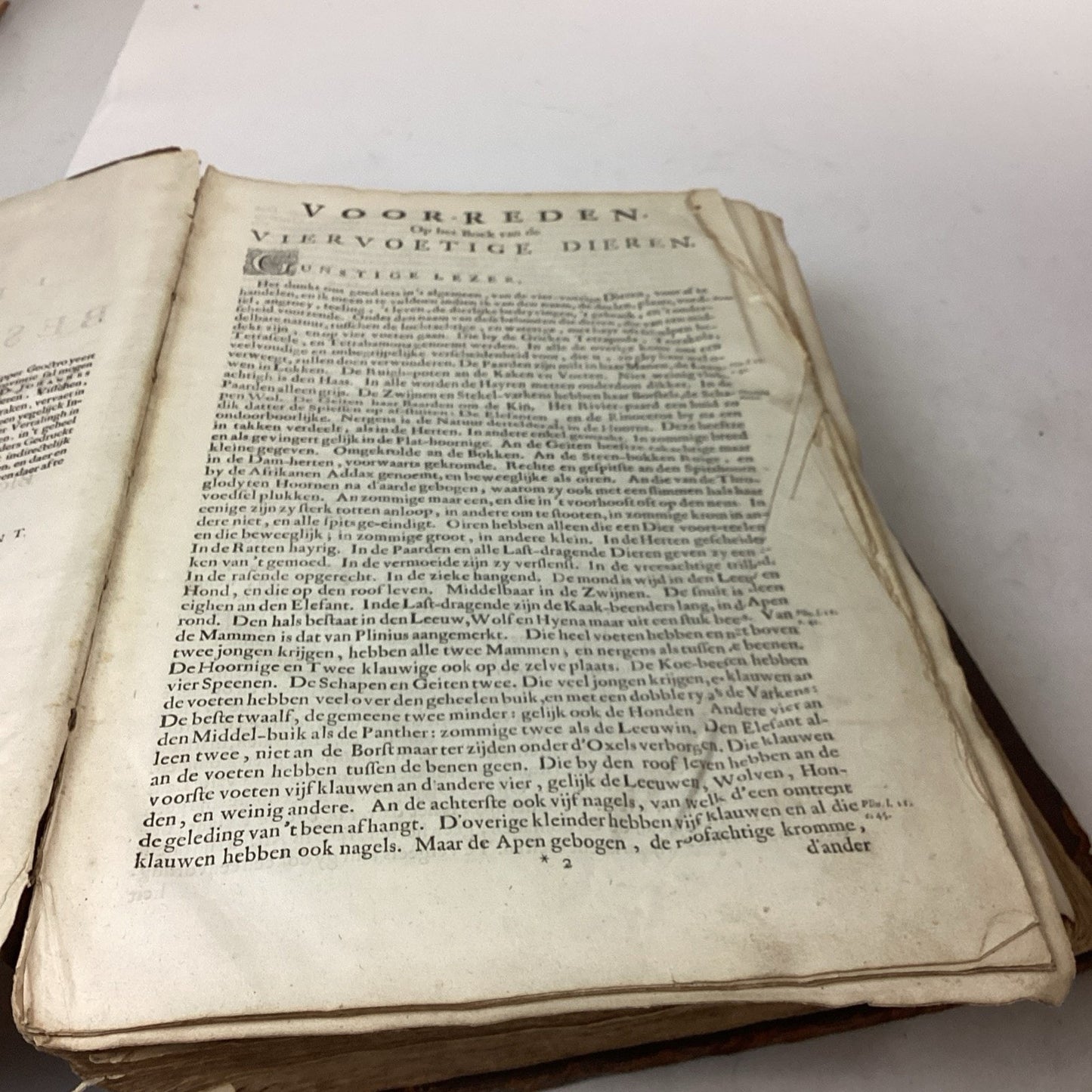 Antique 1660? Dutch Book - J. Jonston’s - Description Of The 4 Footed Animals