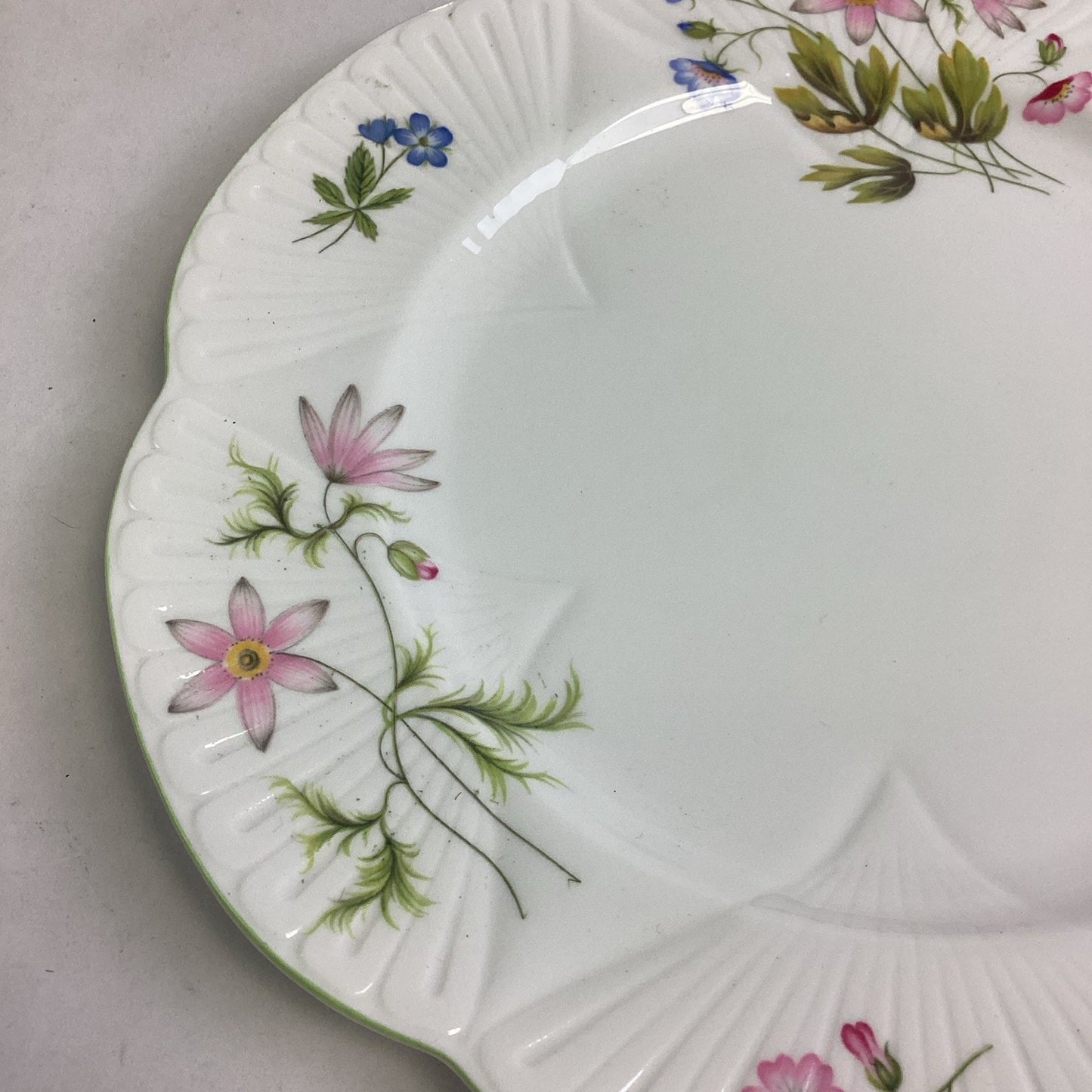 Shelley Wild Anemone Fine Bone China #13977 Salad Plate - England