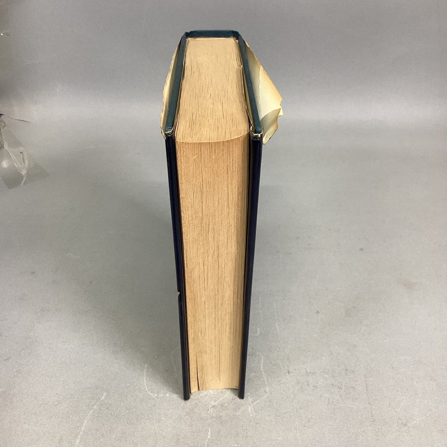 John Irving, The World According to Garp - A Novel - 1978