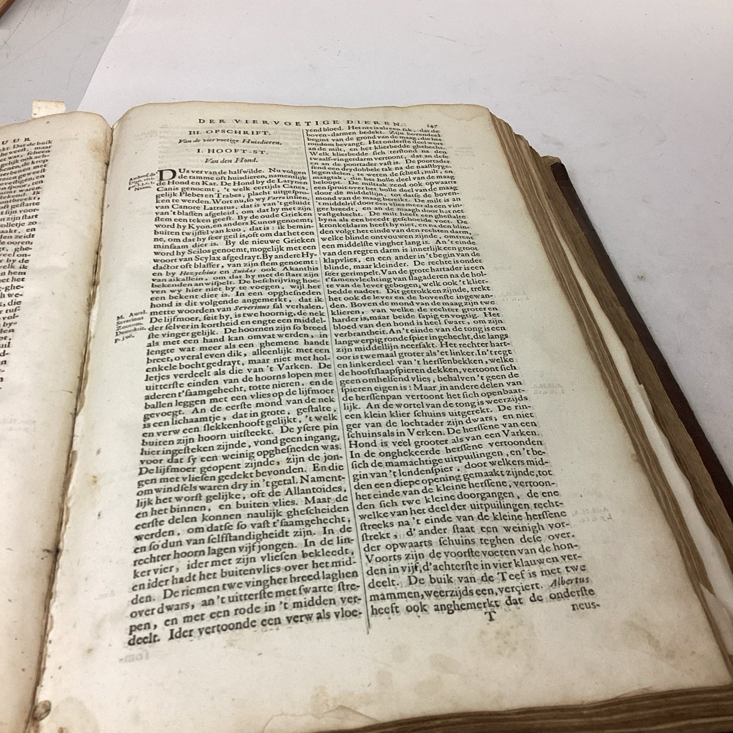 Antique 1660? Dutch Book - J. Jonston’s - Description Of The 4 Footed Animals