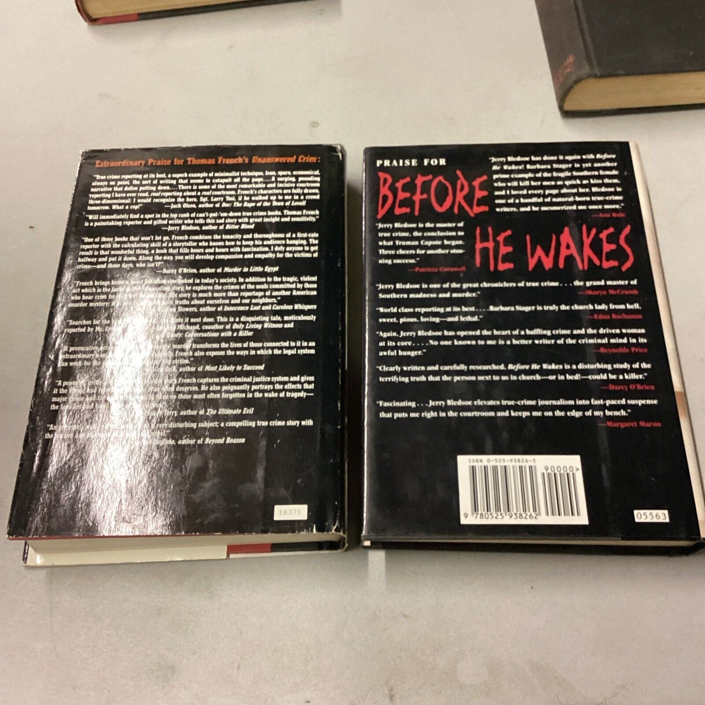 5 Mystery And True Crime Books + Auschwitz In England