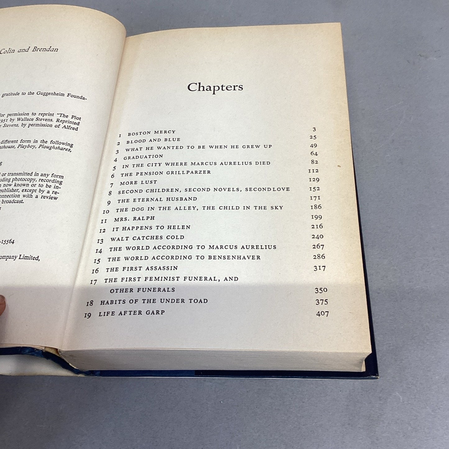 John Irving, The World According to Garp - A Novel - 1978
