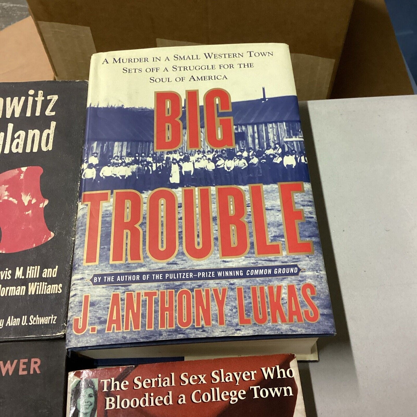 5 Mystery And True Crime Books + Auschwitz In England