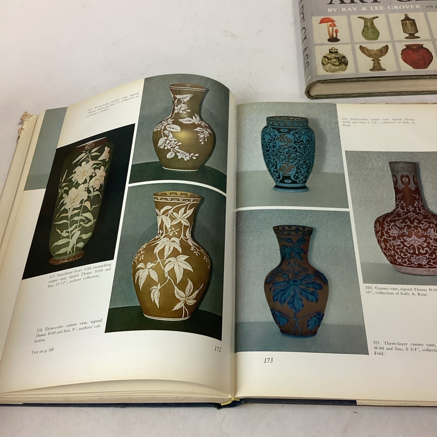 Art Glass Nouveau And Carved & Decorated European Art Glass Hardcover Books