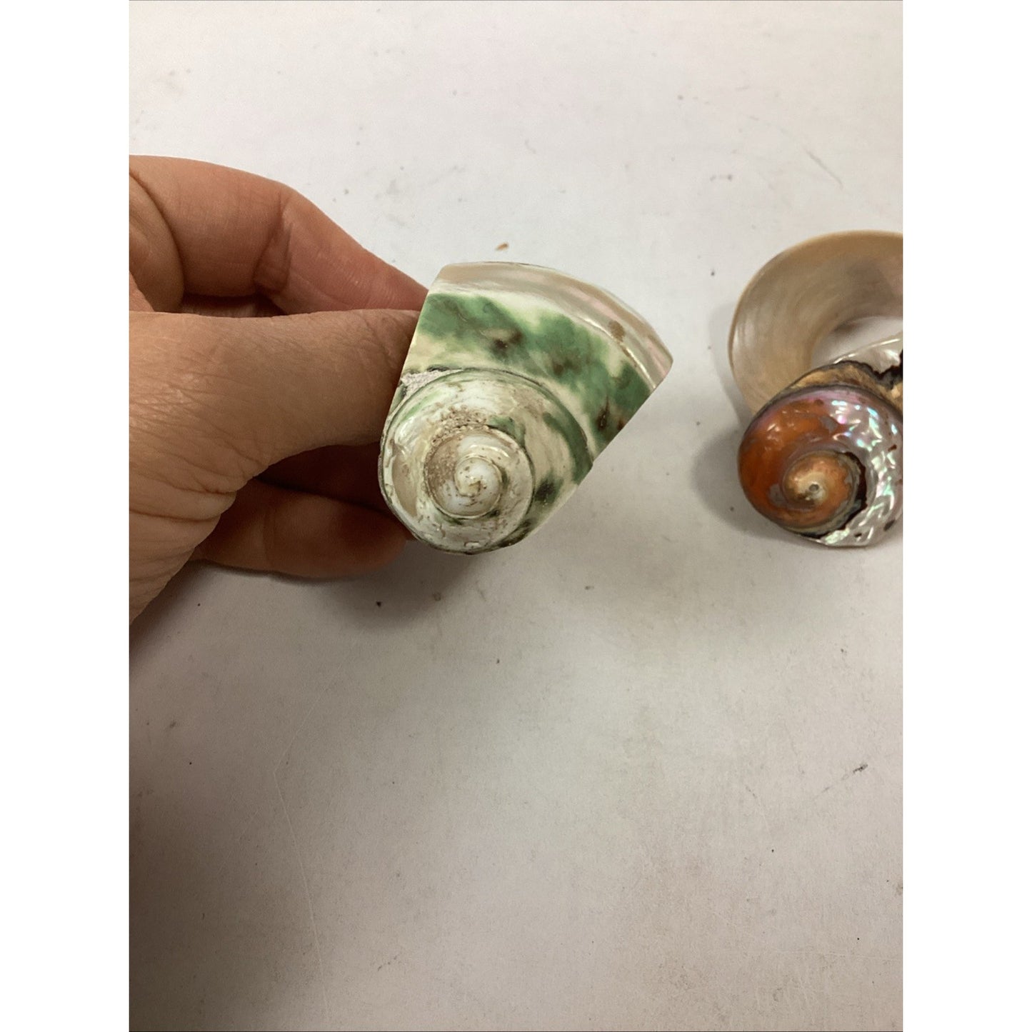 3 Vintage Carved Seashell Conch Mother Of Pearl Napkin Ring Holders MCM