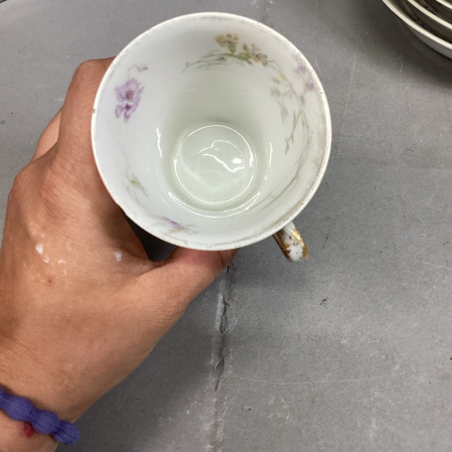 Set Of 26 - LS & S Limoges France Floral Plate/Bowl Set