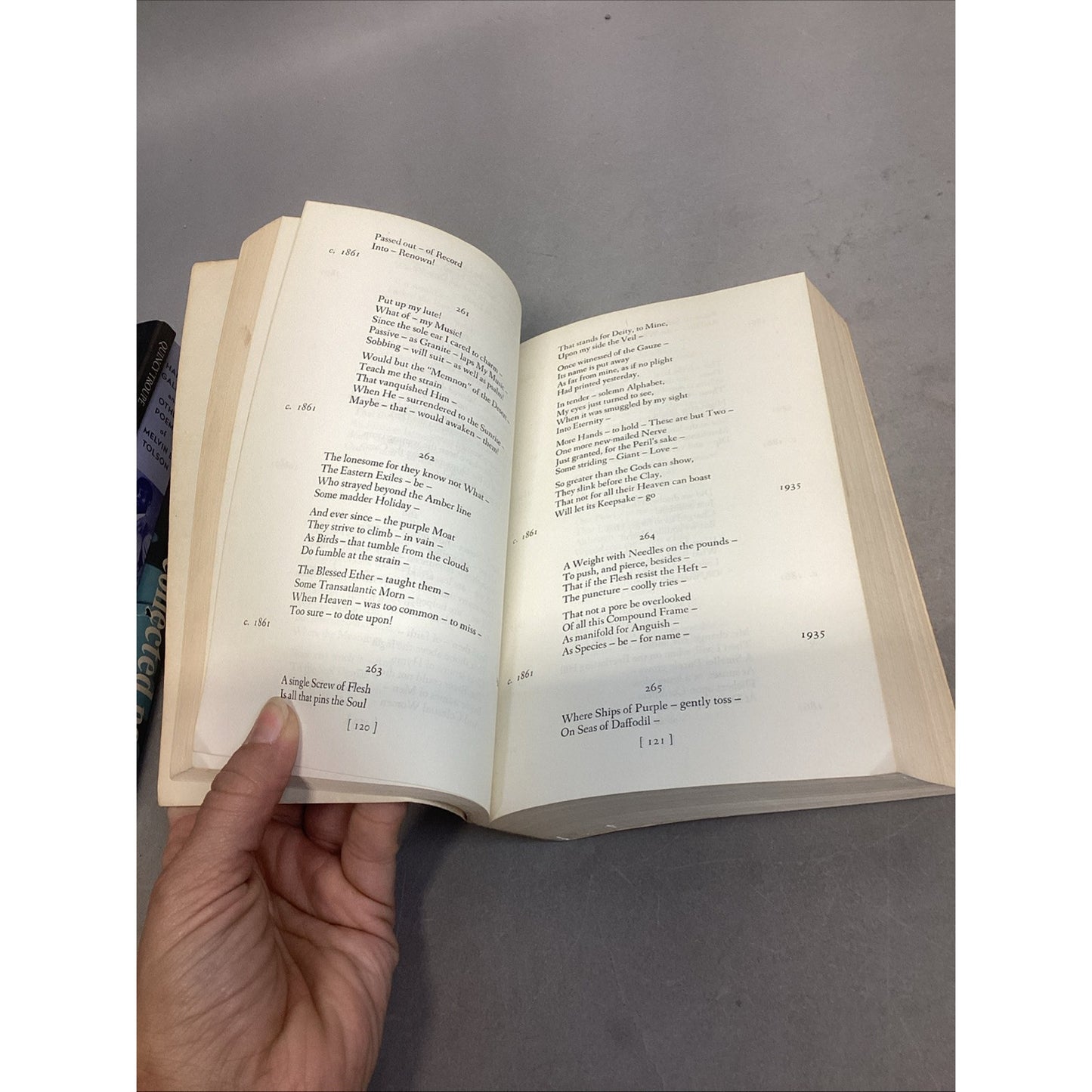 Roethke Collected Poems, Emily Dickinson Poems, Poems By Robert Boy + More