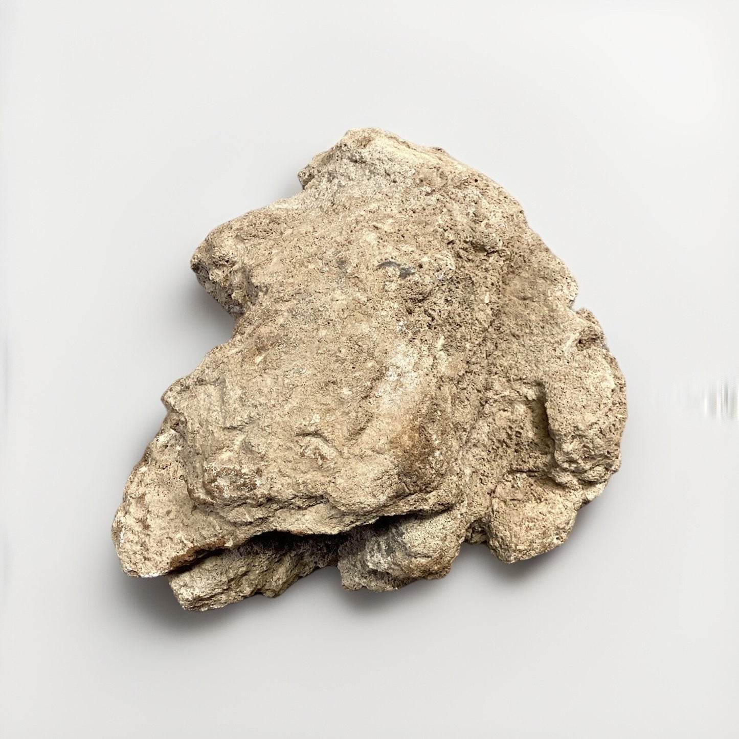 Dried All Natural Coral Fossil For Fish Tank - 14”x12x5.25”