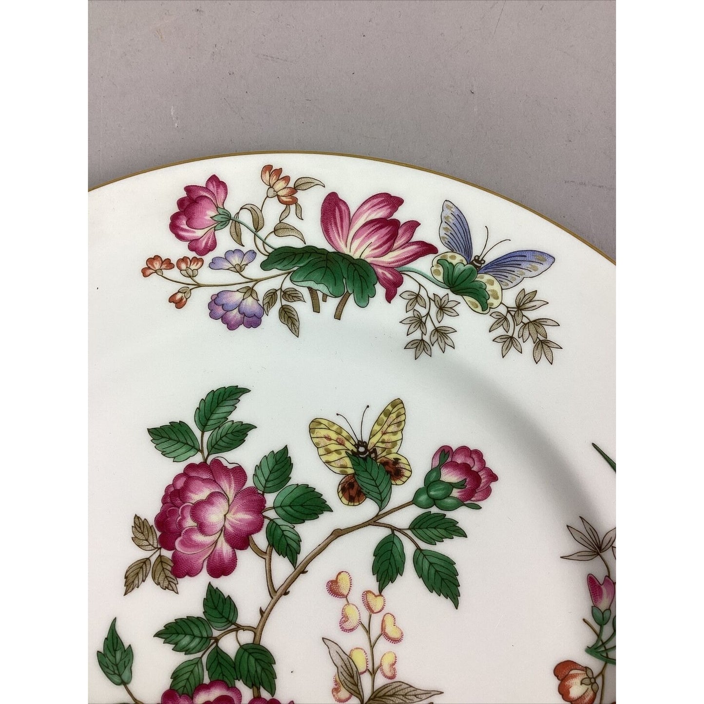 Wedgwood Charnwood Bone China Dinner Plate 10 3/4” - Made In England
