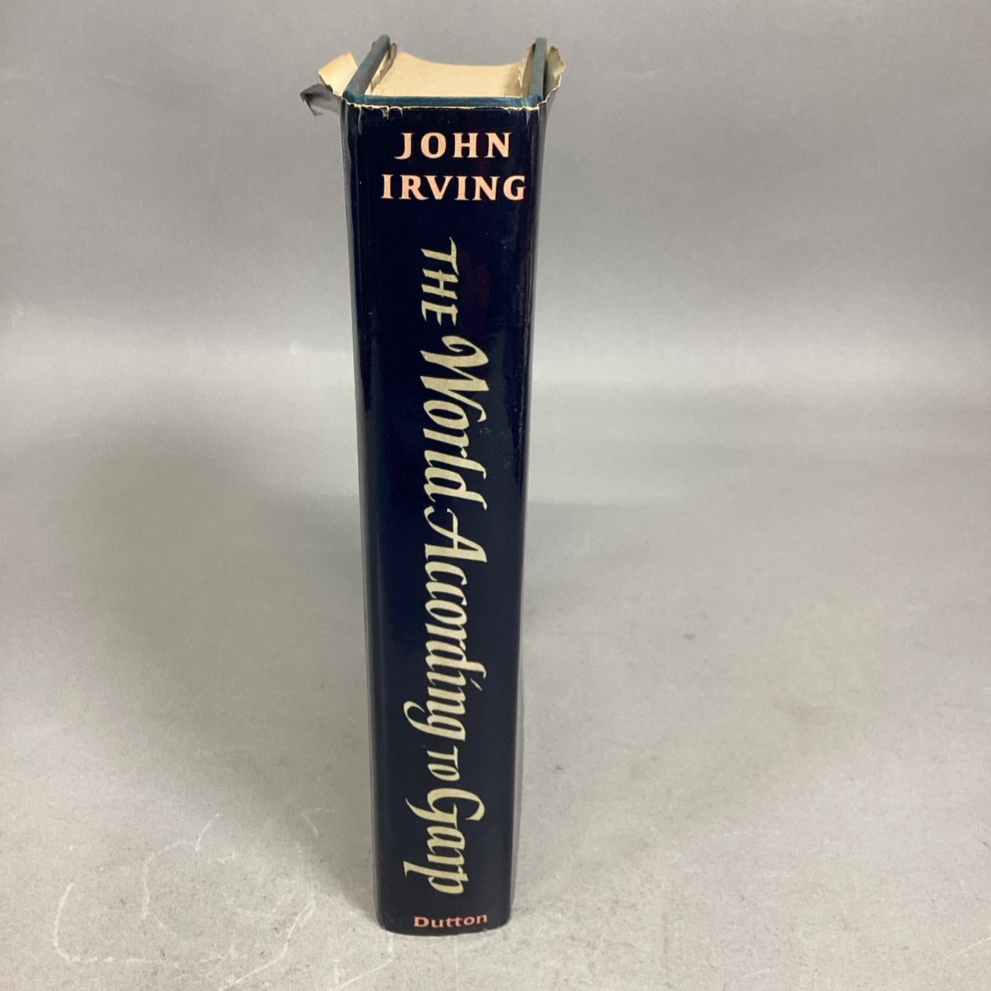 John Irving, The World According to Garp - A Novel - 1978