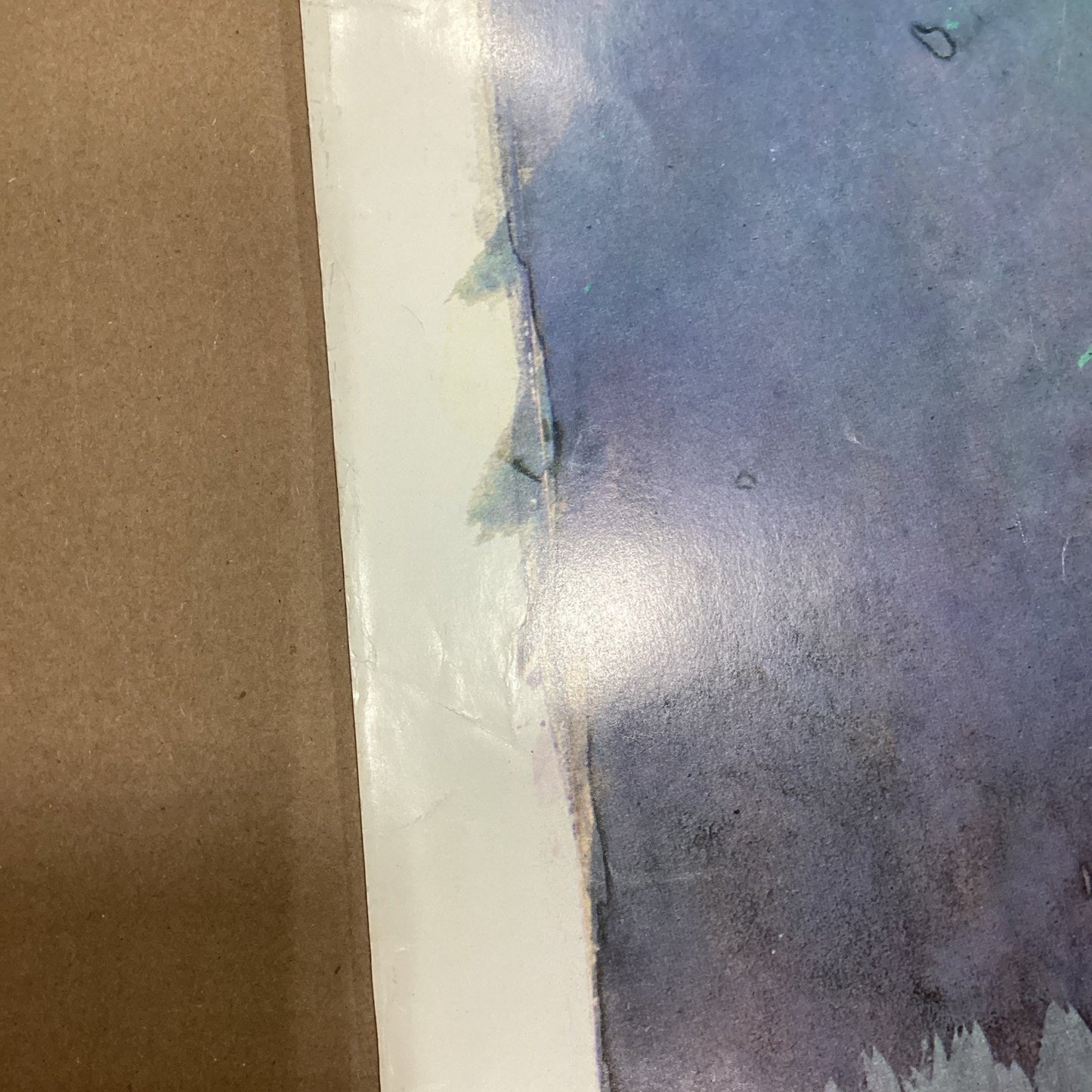 American Paintings And Sculpture Floral Poster - Museum Of Art - 31.75x24.75”