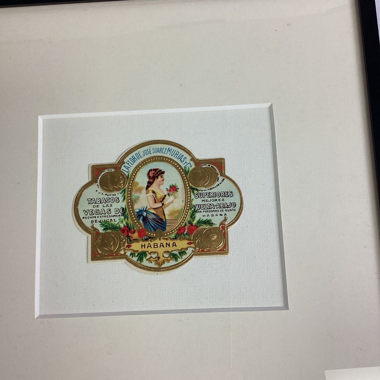 La Flor De Jose Suarez Murias Framed Picture - 14x11.75”