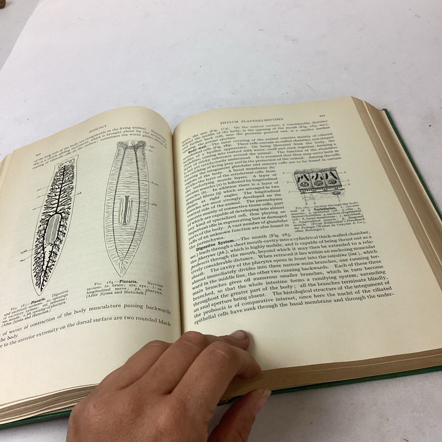 Textbook Of Zoology Volume 1 - 6th Edition - 1961 - Hardcover