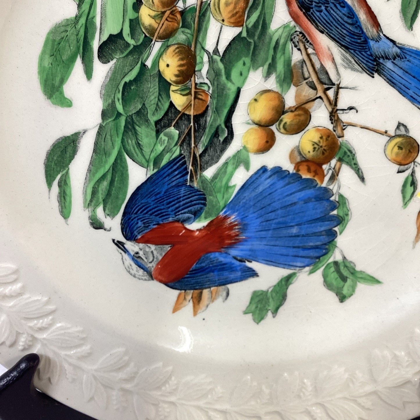 Adams England Audubon Birds of America Florida Jay Collector Plate