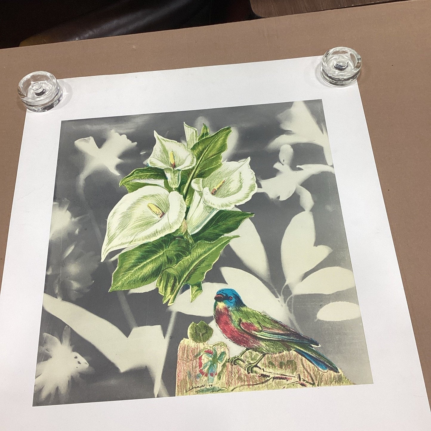 1981 Klebanow Heller Gallery Art Poster - 35x23.25” - Bird And Flower