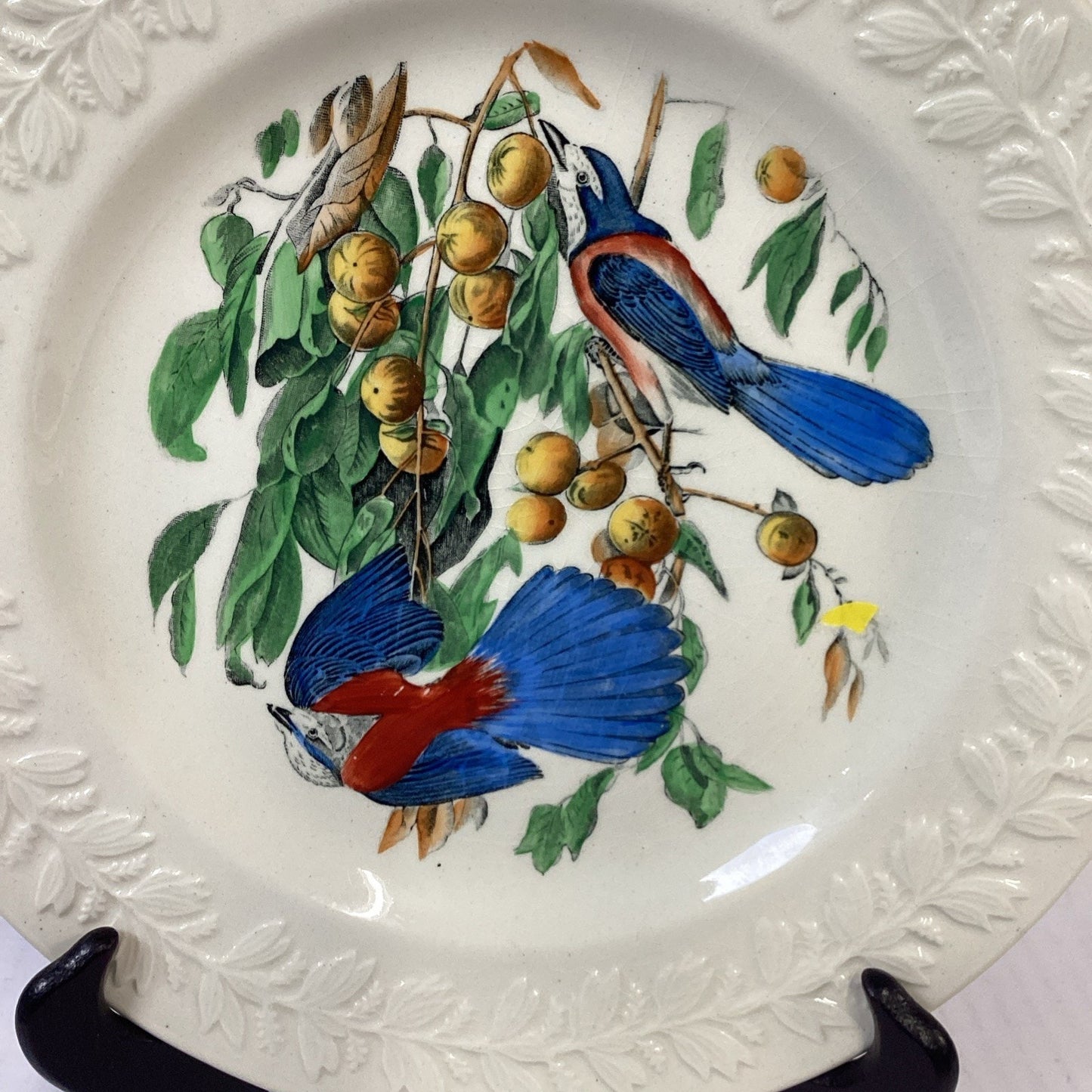 Adams England Audubon Birds of America Florida Jay Collector Plate