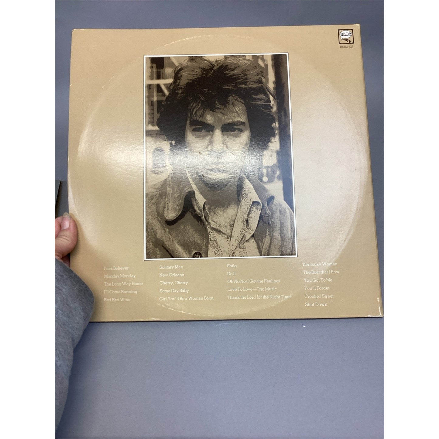 Neil Diamond 12 Greatest Hits & Neil Diamond Double Gold Vinyl Records