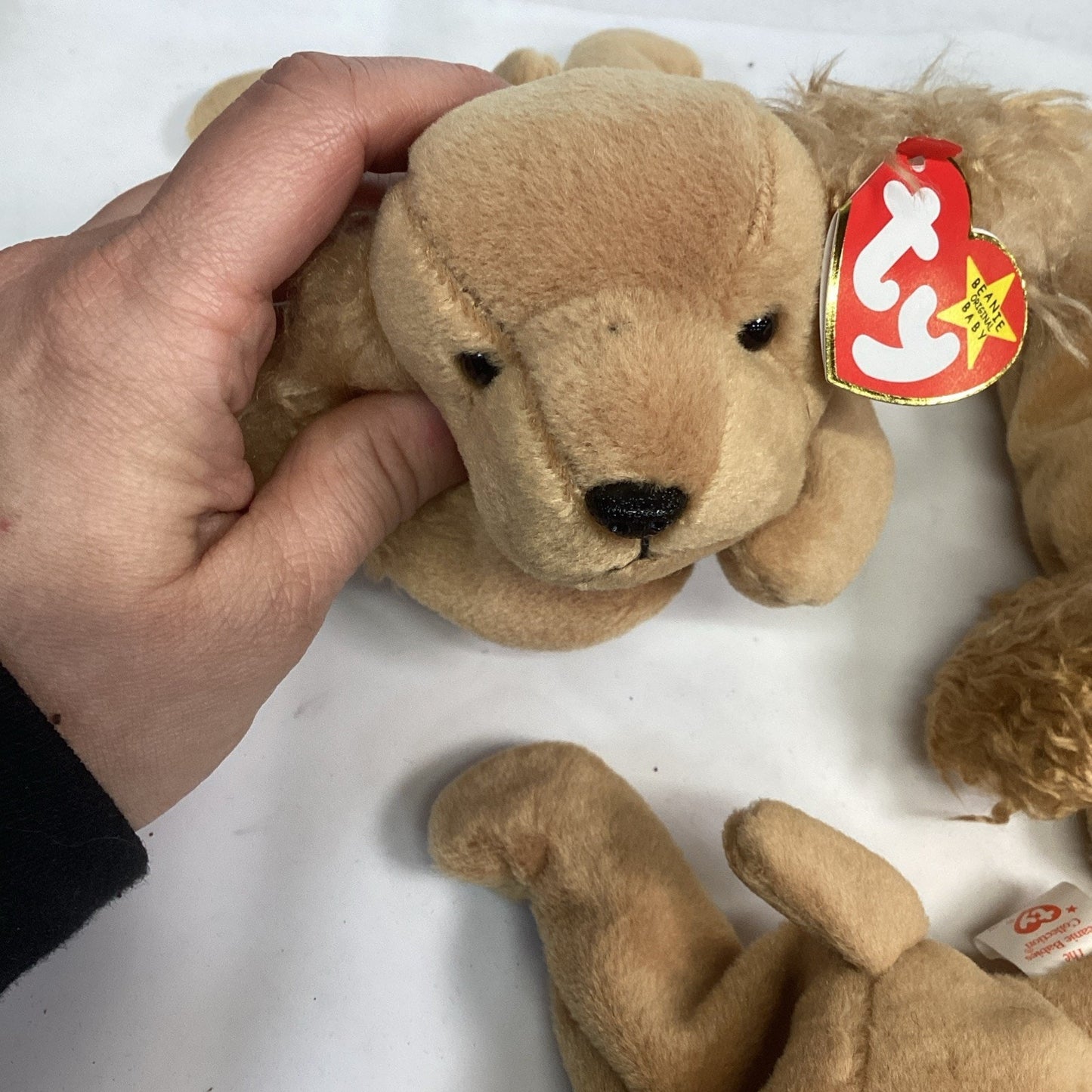 Lot Of 5 Ty Beanie Baby Spunky The Cocker Spaniel From 1997 Retired With Tags