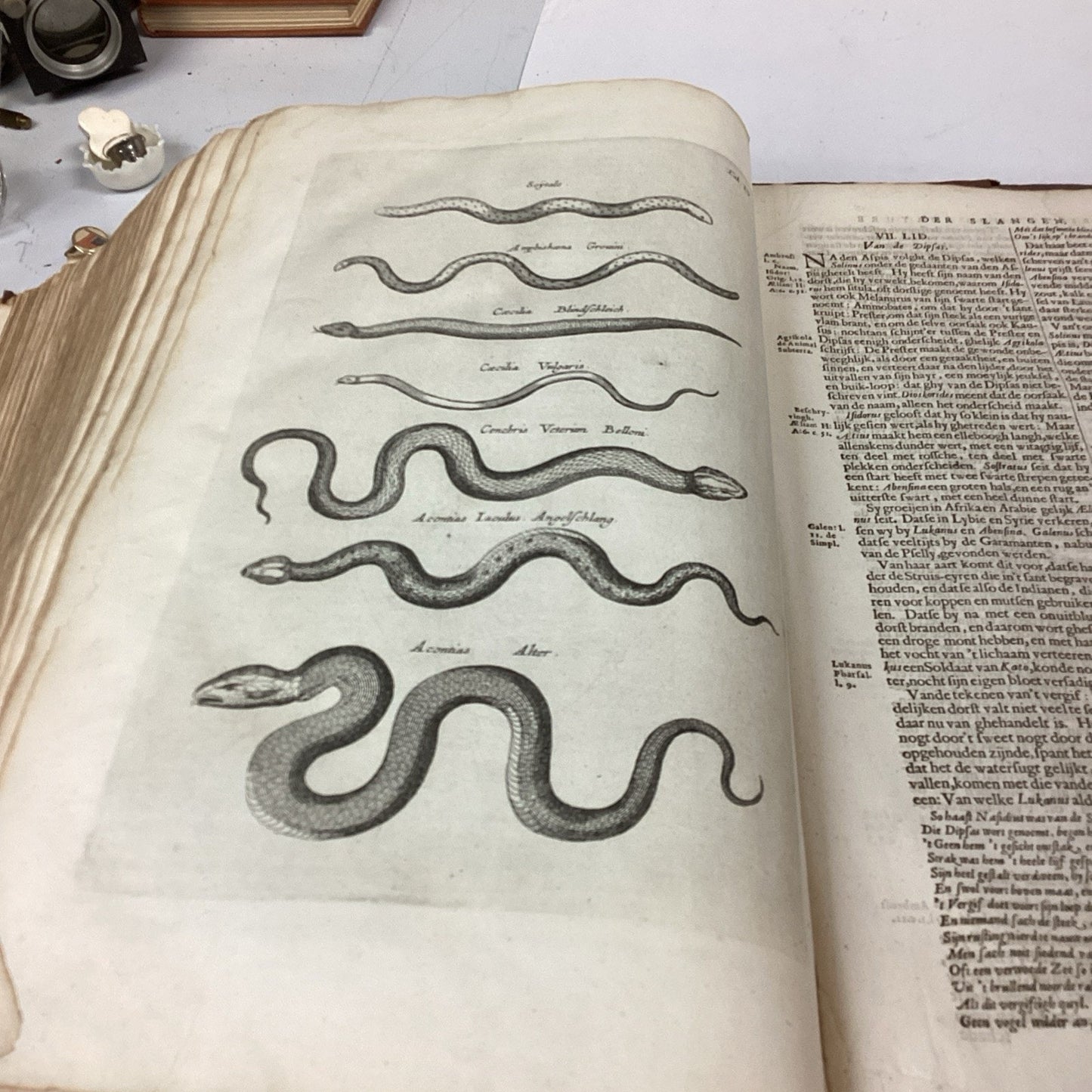 Antique 1660? Dutch Book - J. Jonston’s - Description Of The 4 Footed Animals