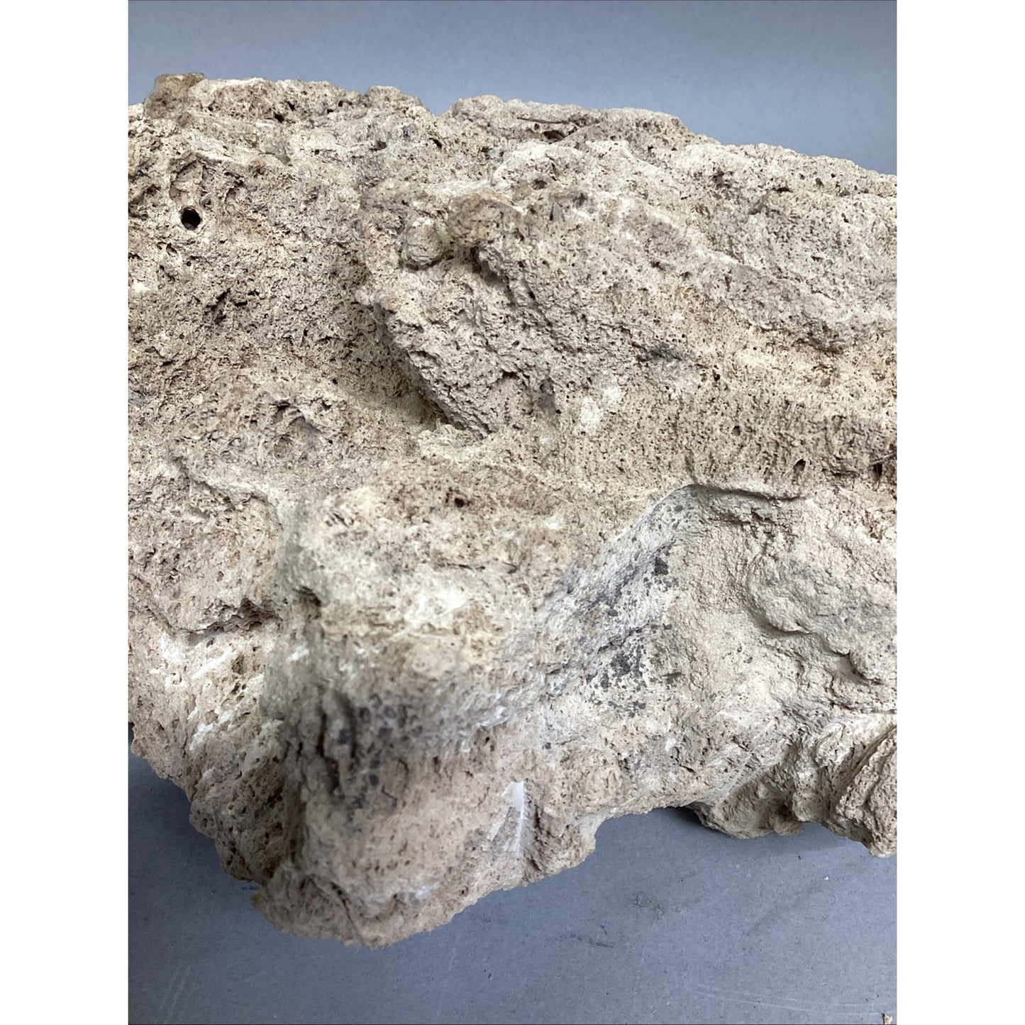 Dried All Natural Coral Fossil For Fish Tank - 14”x12x5.25”