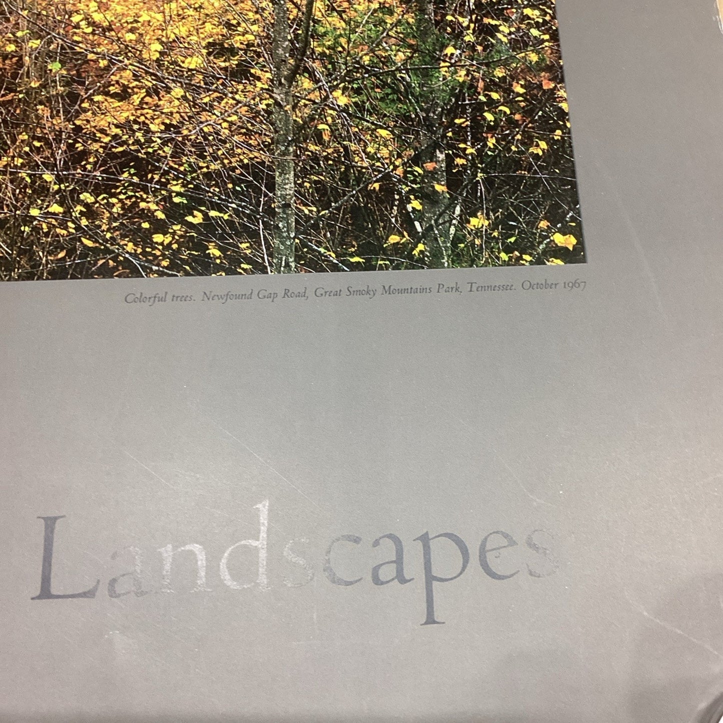 Eliot Porter: Intimate Landscapes - Colorful Trees - 33x22” - Museum Of Art