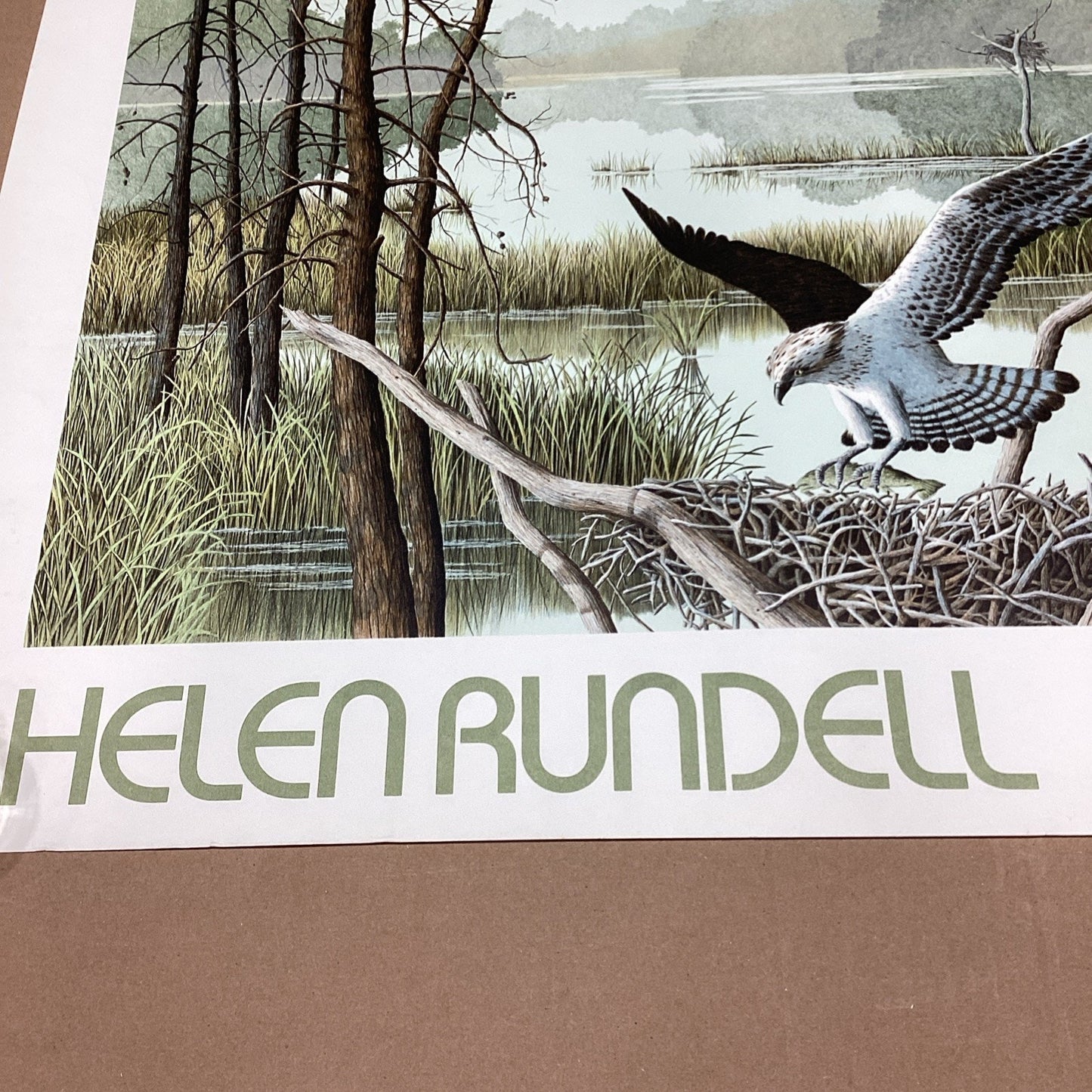 Helen Rundell Osprey Lithograph Poster - 28x23”