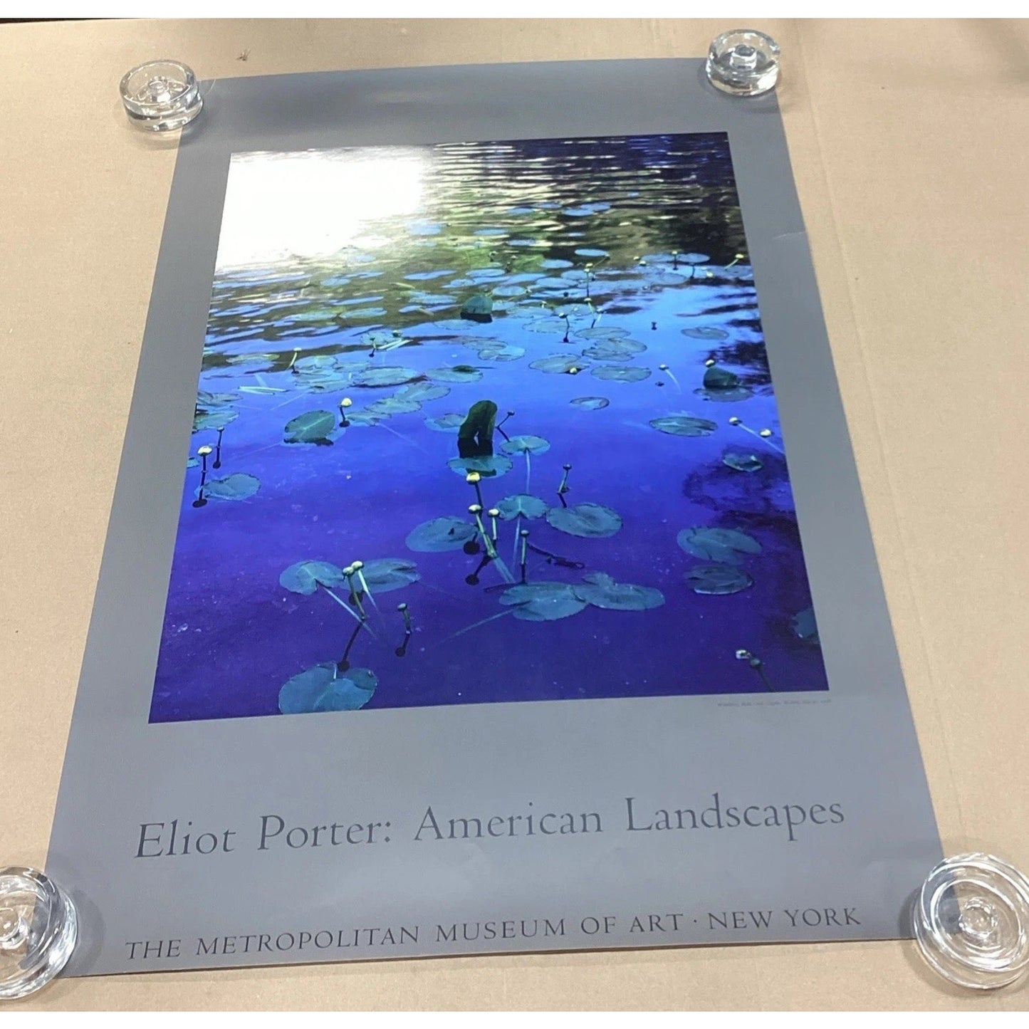 Eliot Porter: American Landscapes - Lily Pads Poster -33x22” + Museum Of Art NYC