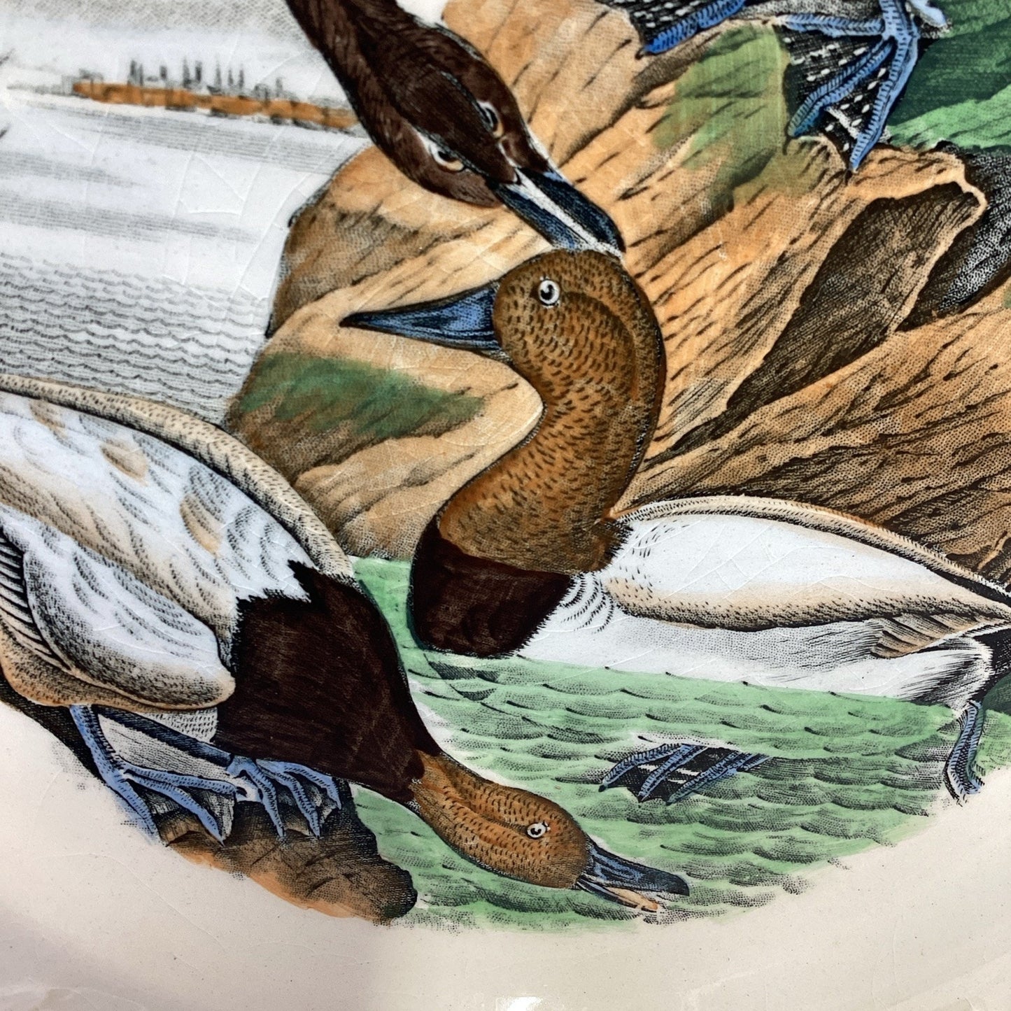 Adams Audubon Plates “Birds of America” Canvas Back Duck Dinner Plate